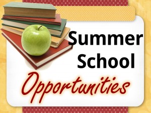 summer school opportunities
